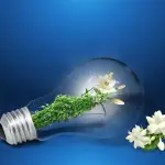 Politiche giovanili, premiati i vincitori di “Lab Liguria”: sei progetti tra economia circolare, sport e rigenerazione urbana