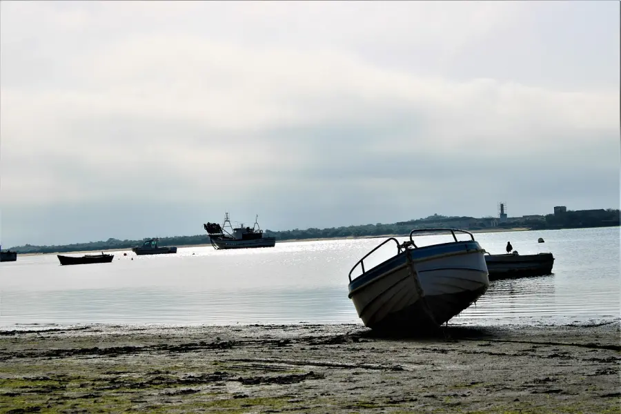 Pesca e acquacoltura in Liguria: approvato il programma regionale 2026–2028