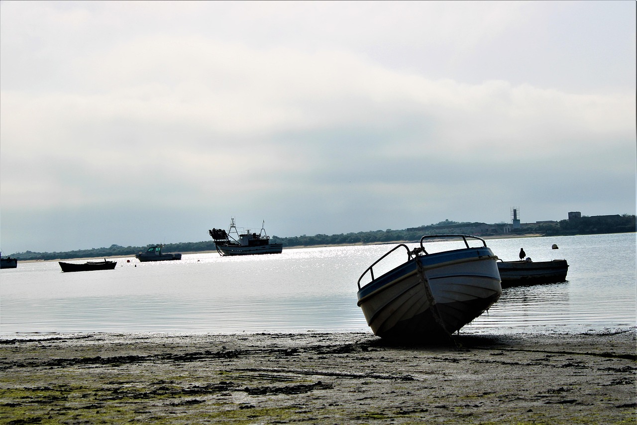 Pesca e acquacoltura in Liguria: approvato il programma regionale 2026–2028