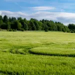 Agricoltura, la PAC dopo il 2027 al centro del confronto: la posizione della Liguria